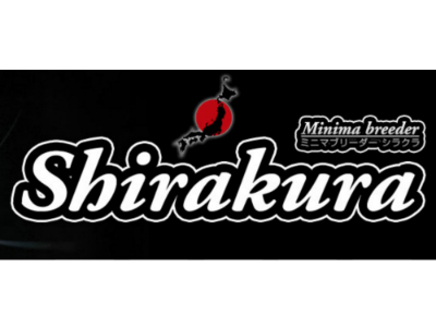 Screenshot_2020-12-27 SHIRAKURA - Ebi Dama, Food, Spirulina, Chlorella, Shrimp, Online-Shop