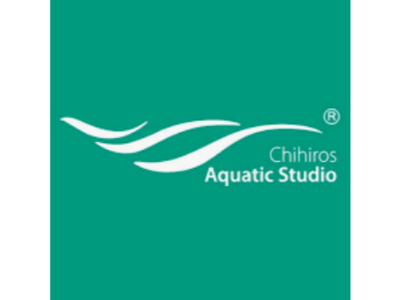 Screenshot_2021-07-25 CHIHIROS AQUATIC STUDIO – Pesquisa Google